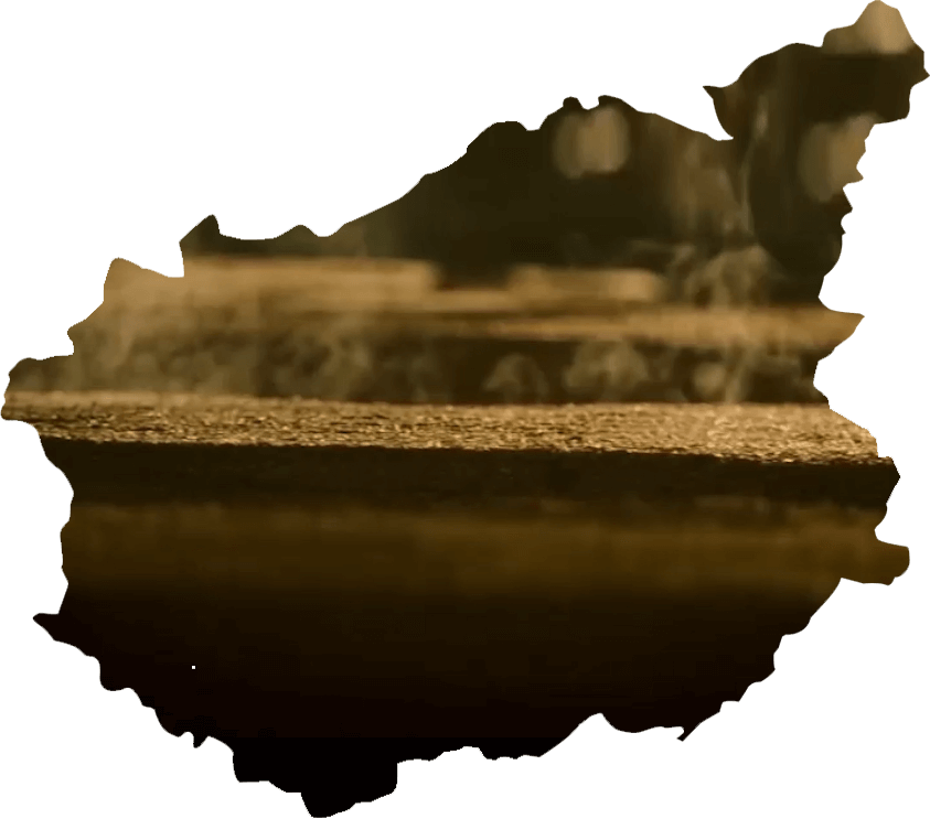 杜康酒 品質(zhì)的保證